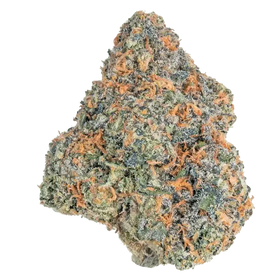 Cherry Hos! Lil Baby