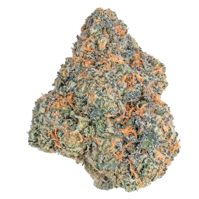 Cherry Hos! Lil Baby