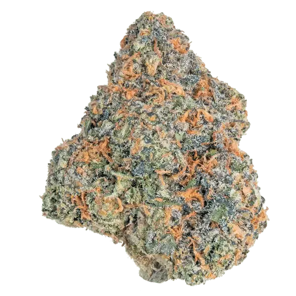 Cherry Hos! Lil Baby